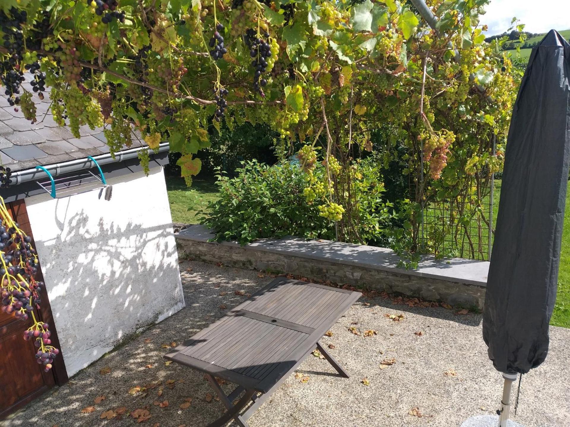 Gite L'Ecole De Ma Mere Villa Bertogne Eksteriør bilde