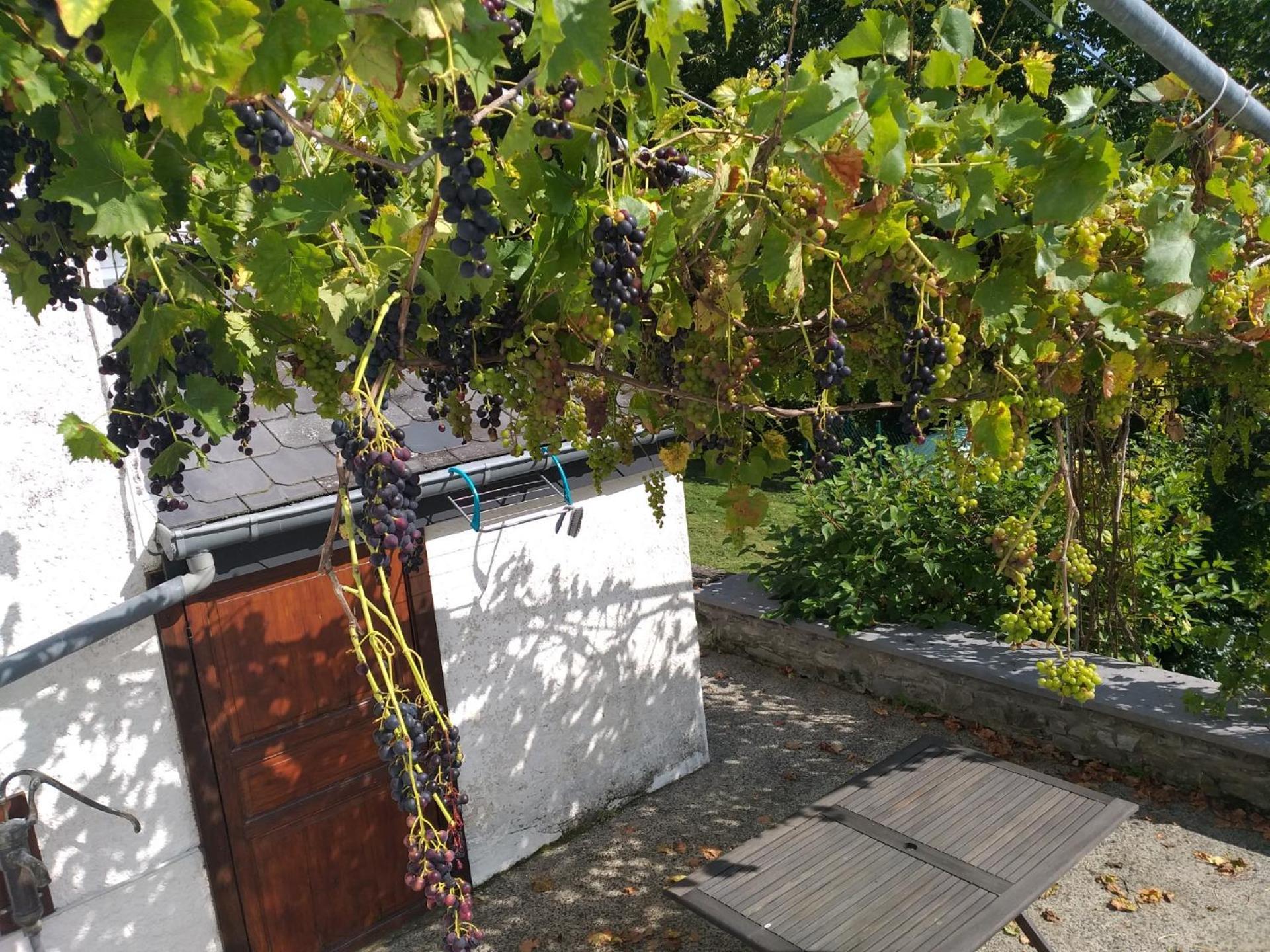 Gite L'Ecole De Ma Mere Villa Bertogne Eksteriør bilde