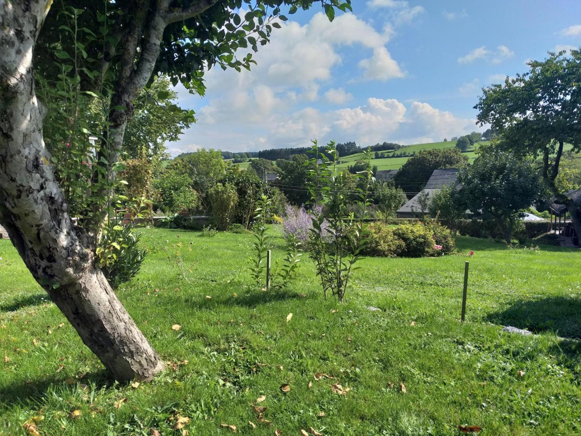 Gite L'Ecole De Ma Mere Villa Bertogne Eksteriør bilde